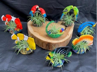 Resin Tropical Fish and Birds with Air Plant